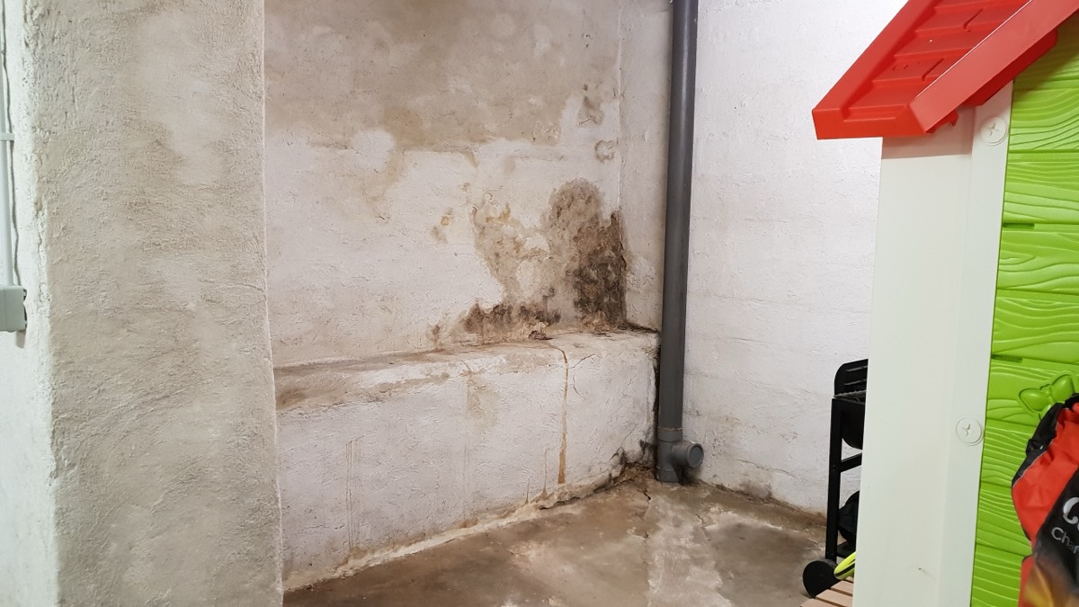 Infiltrations d'eau - Expertise humidité à Tours